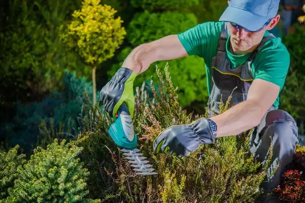 landscaping services Clifton Springs